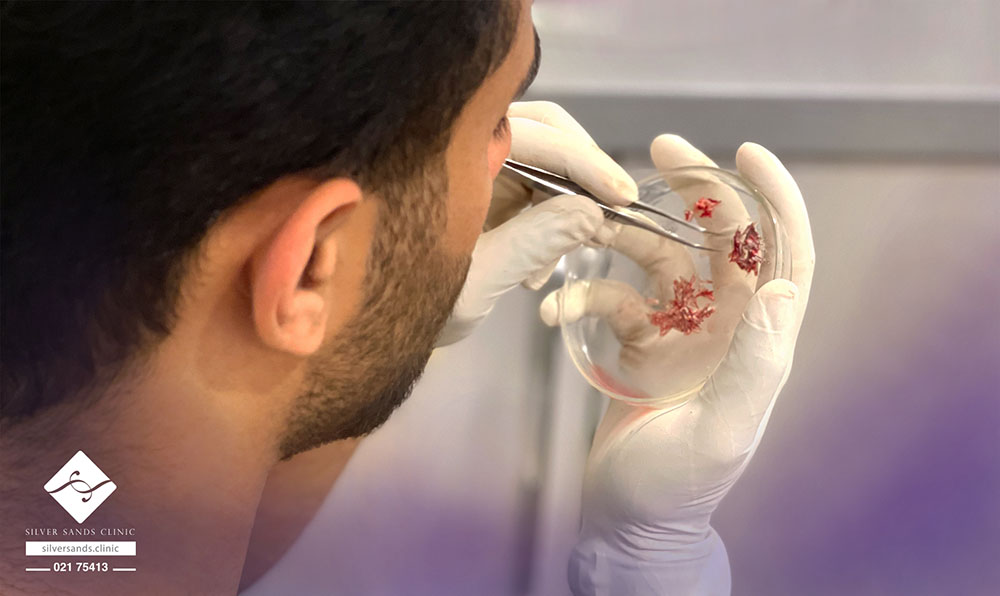 کلینیک شنهای نقرهای