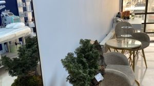 خدمات ویژه در کلینیک نگین جردن: راهی به سوی زیبایی و سلامتی