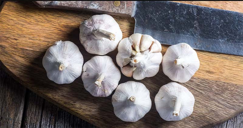 سیر برای درمان‌های خانگی برای درمان زگیل تناسلی