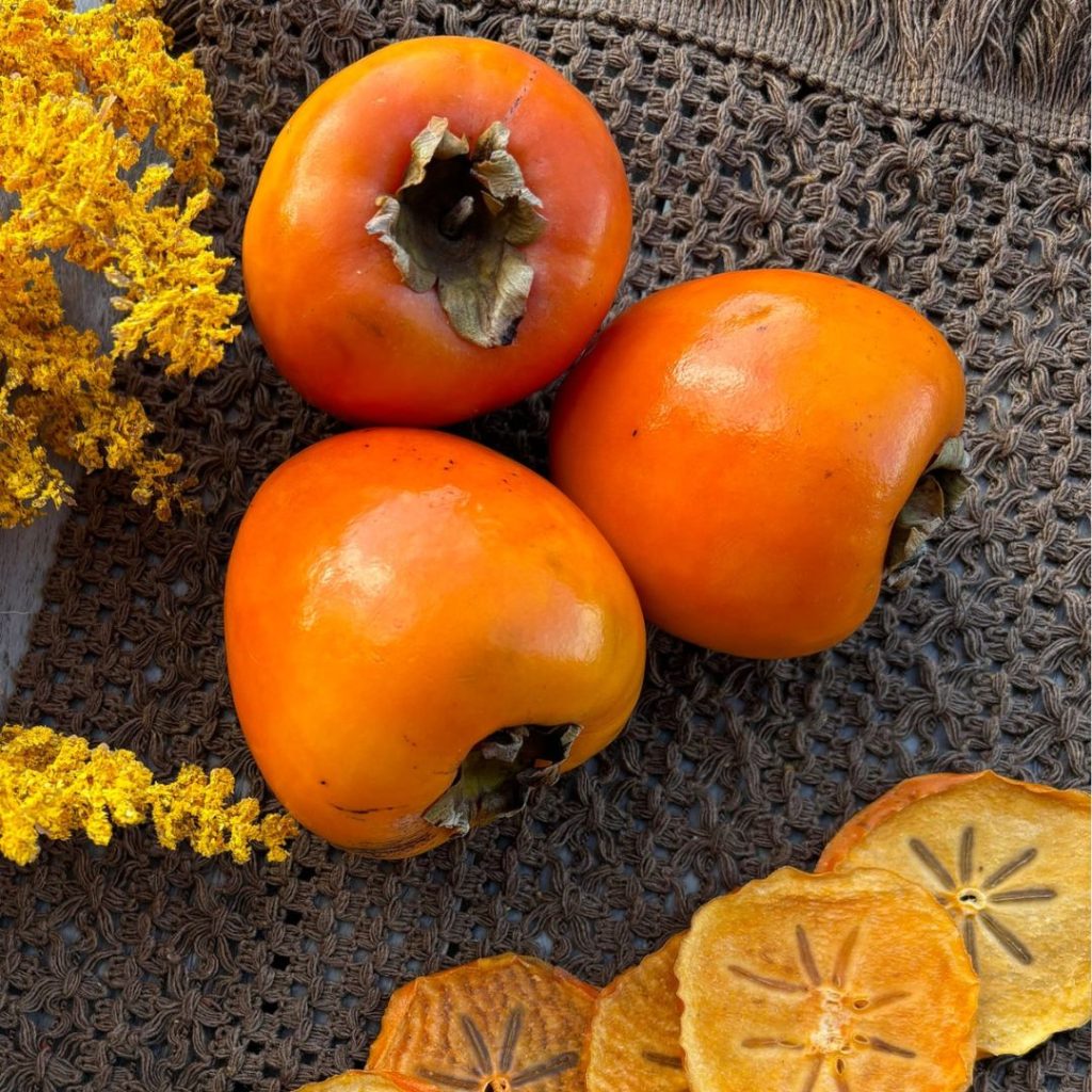 آیا خرمالو برای زن باردار ضرر دارد؟ بررسی فواید و خطرات خرمالو در دوران بارداری