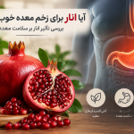 تأثیر انار بر سلامت معده